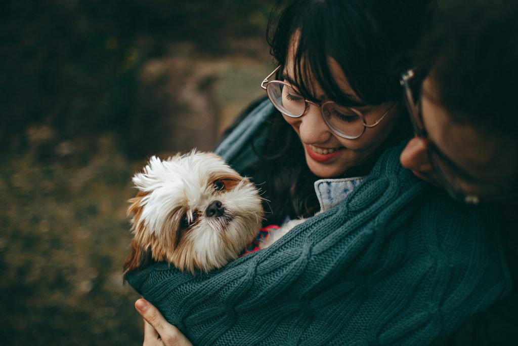 How Dogs See Your Family: The Real Pack Hierarchy