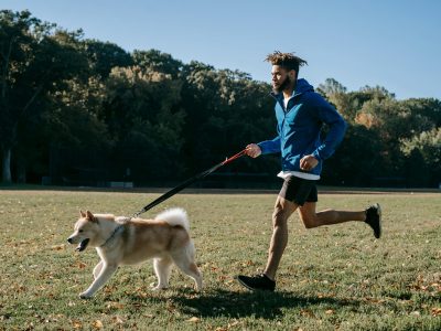 Why Life’s Better with a Dog by Your Side