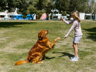 Kids and Dogs: A Guide to Safe, Happy Play